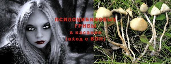 ПСИЛОЦИБИНОВЫЕ ГРИБЫ Михайловка