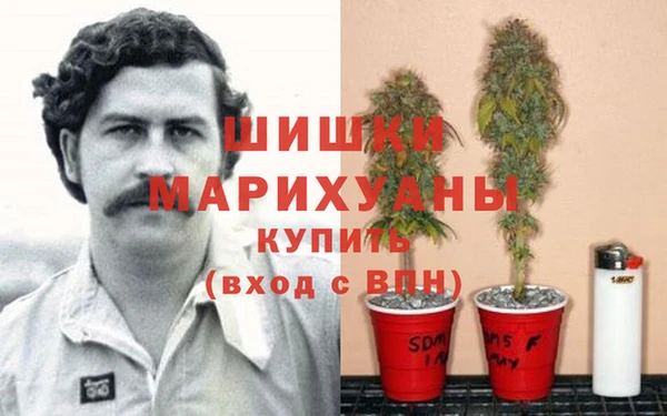 ПСИЛОЦИБИНОВЫЕ ГРИБЫ Михайловка