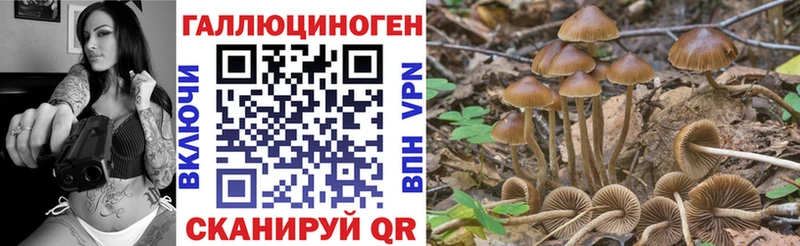 Галлюциногенные грибы мицелий Правдинск