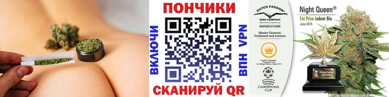 Шишки марихуана марихуана Правдинск